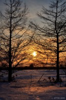 /album/photo-gallery-silhouette/%e6%98%a5%e3%80%80%e9%82%81%e9%80%b23-jpg/